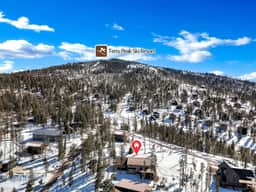 Bearded Wonder at Terry Peak - Image 4