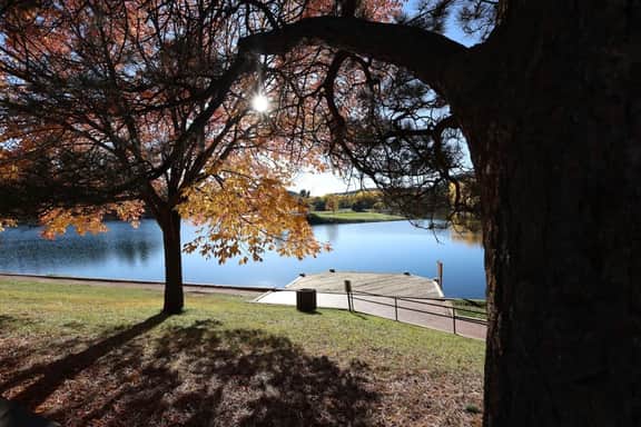 Tall Pines Getaway - Image 2
