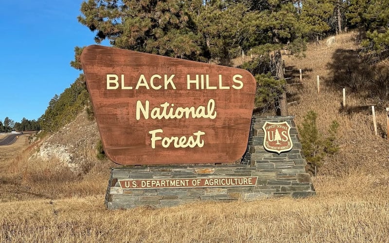 Black Hills National Forest entrance sign